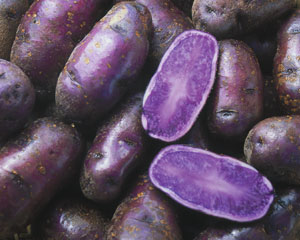 purple_potato2.jpg